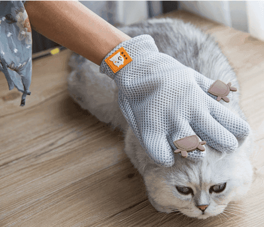 Pet Hair Magic Brush